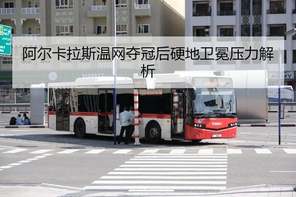 a-er-ka-la-si-wen-wang-duo-guan-hou-ying-di-wei-mian-ya-li-jie-xi-2-908.jpg