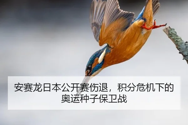 an-sai-long-ri-ben-gong-kai-sai-shang-tui-ji-fen-wei-ji-xia-de-ao-yun-zhong-zi-bao-wei-zhan-3-480.jpg