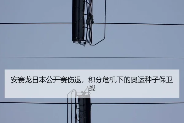 安赛龙日本公开赛伤退，积分危机下的奥运种子保卫战