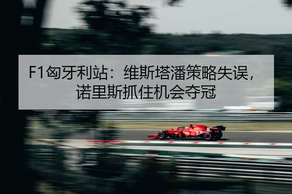 xiong-ya-li-zhan-wei-si-ta-pan-ce-lve-shi-wu-nuo-li-si-zhua-zhu-ji-hui-duo-guan-2-478.jpg
