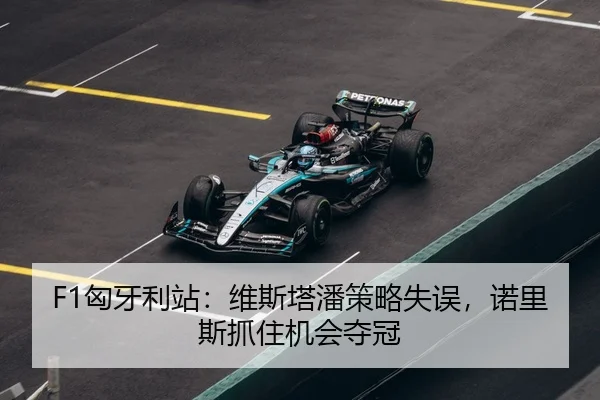 xiong-ya-li-zhan-wei-si-ta-pan-ce-lve-shi-wu-nuo-li-si-zhua-zhu-ji-hui-duo-guan-3-926.jpg