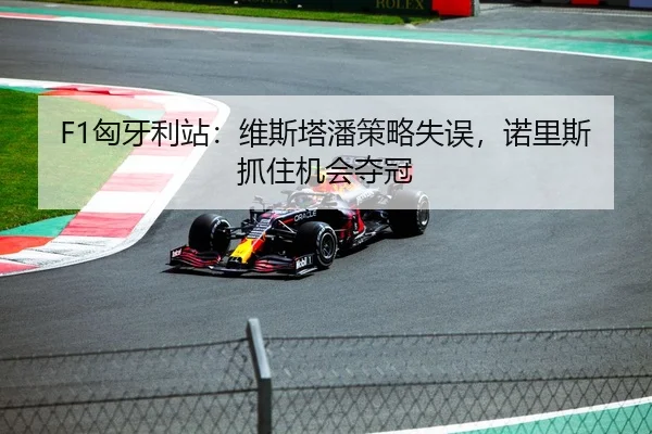 F1匈牙利站：维斯塔潘策略失误，诺里斯抓住机会夺冠