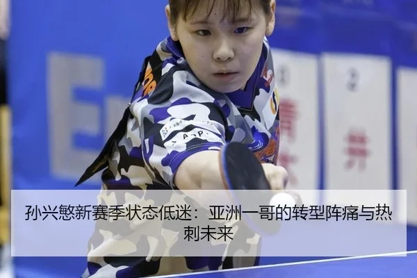 sun-xing-min-xin-sai-ji-zhuang-tai-di-mi-ya-zhou-yi-ge-de-zhuan-xing-zhen-tong-yu-re-ci-wei-lai-3-998.jpg